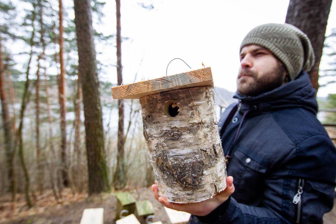 Grįžtantiems paukščiams – nauji inkilai