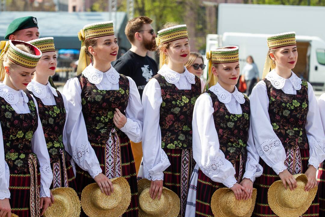 Jaunieji gydytojai Vilniuje surengė šventinį mitingą