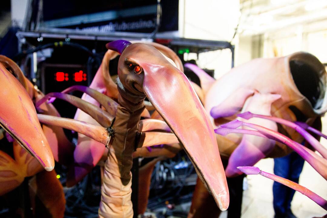 „Cirque du Soleil“ pasirodymo užkulisiai