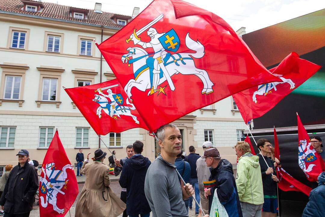 Vėliavų pakėlimo ceremonija S. Daukanto aikštėje