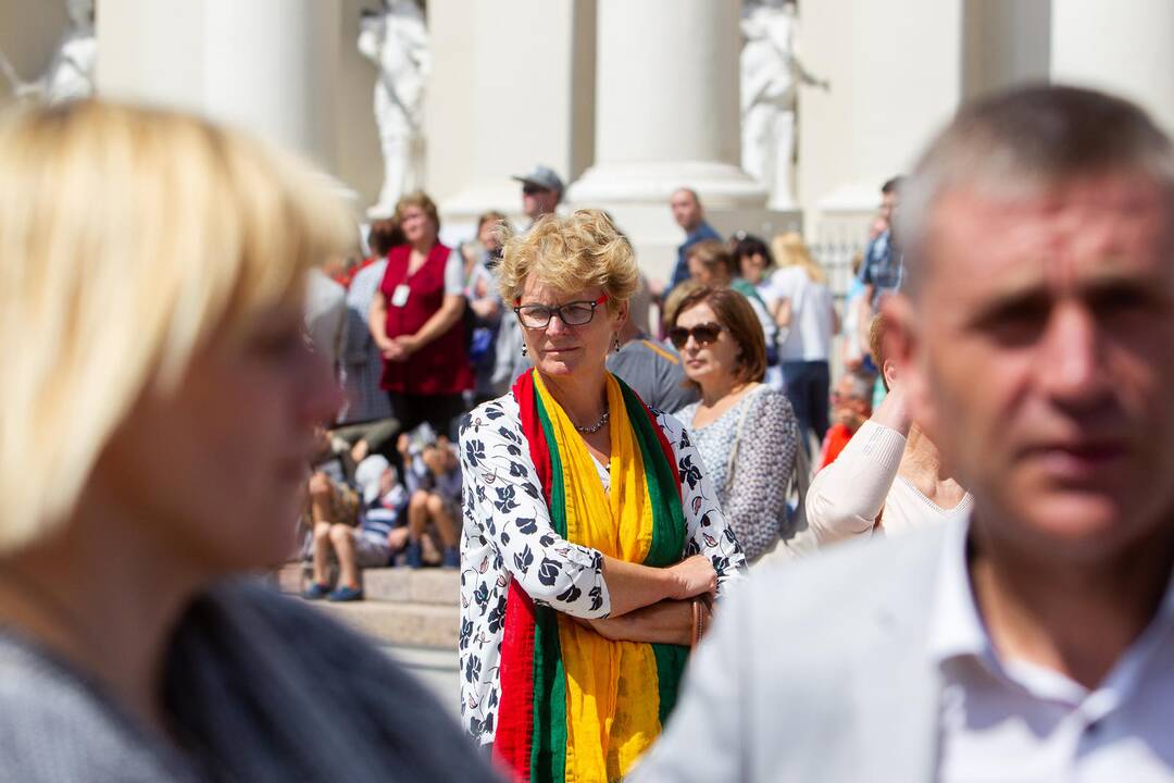 Miestų ir miestelių vėliavų pagerbimo ceremonija