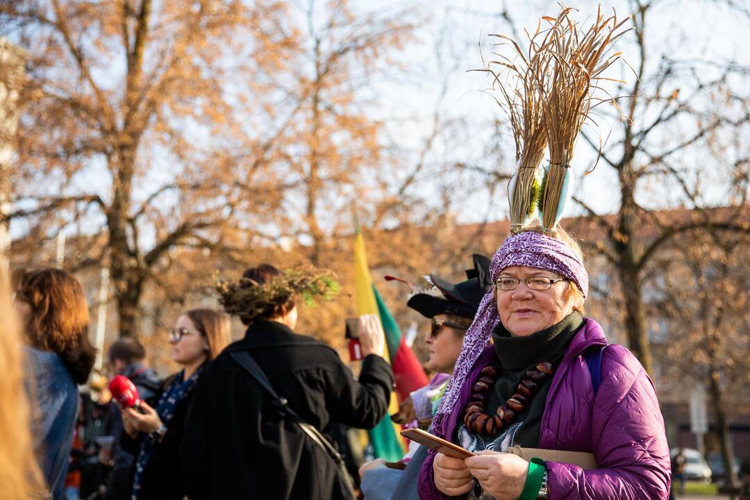 Protesto akcija „Girios ateina į Vilnių“