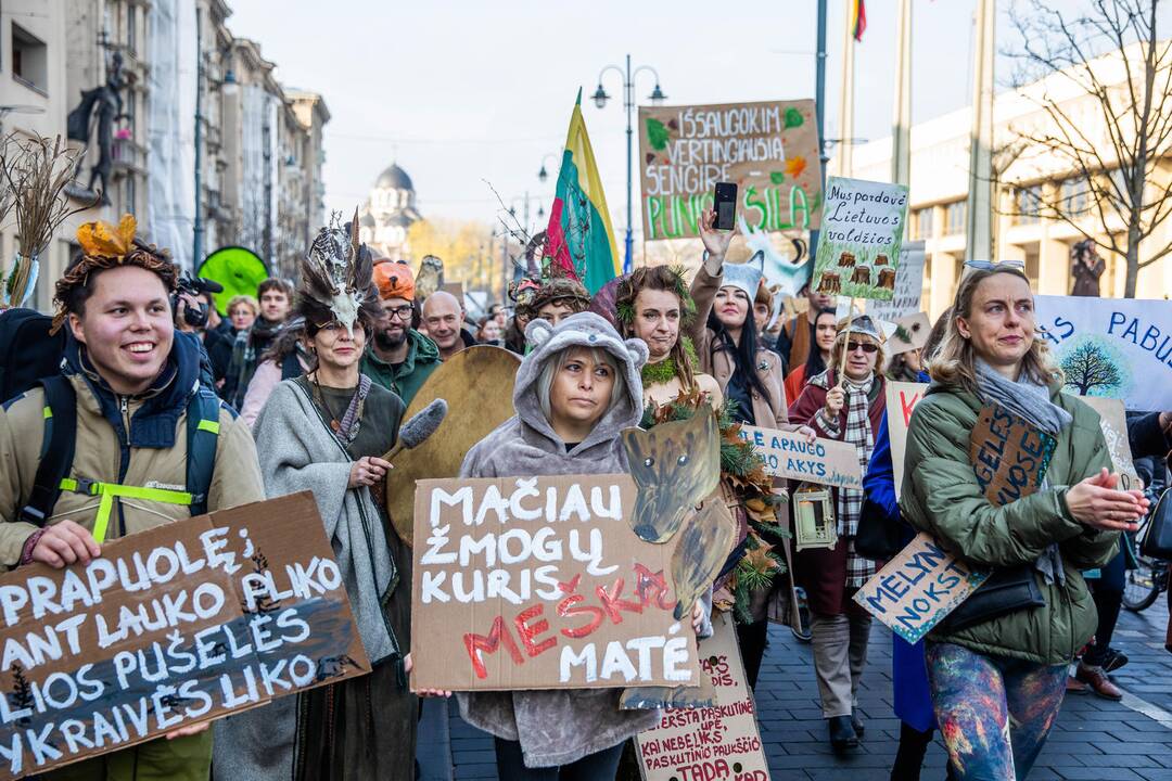 Protesto akcija „Girios ateina į Vilnių“