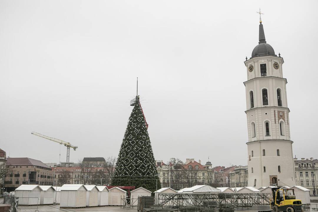 Ruošiama Vilniaus kalėdinė eglė