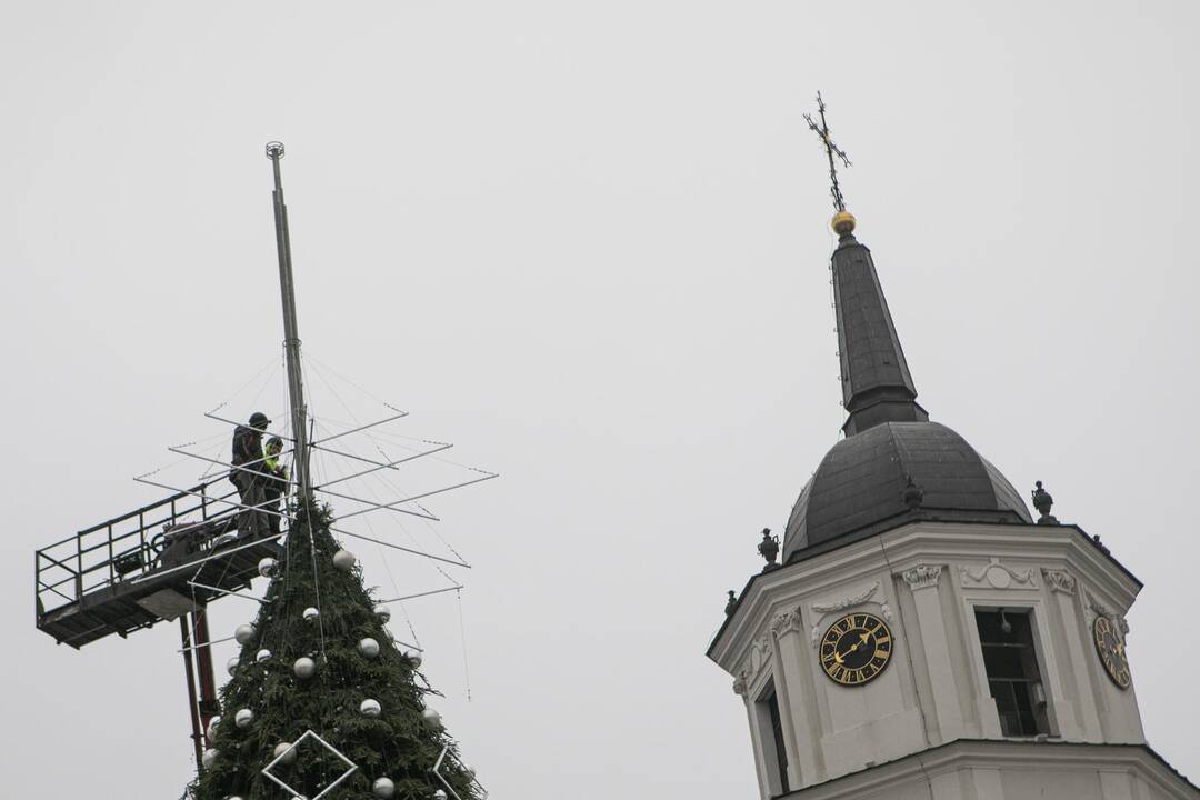 Ruošiama Vilniaus kalėdinė eglė