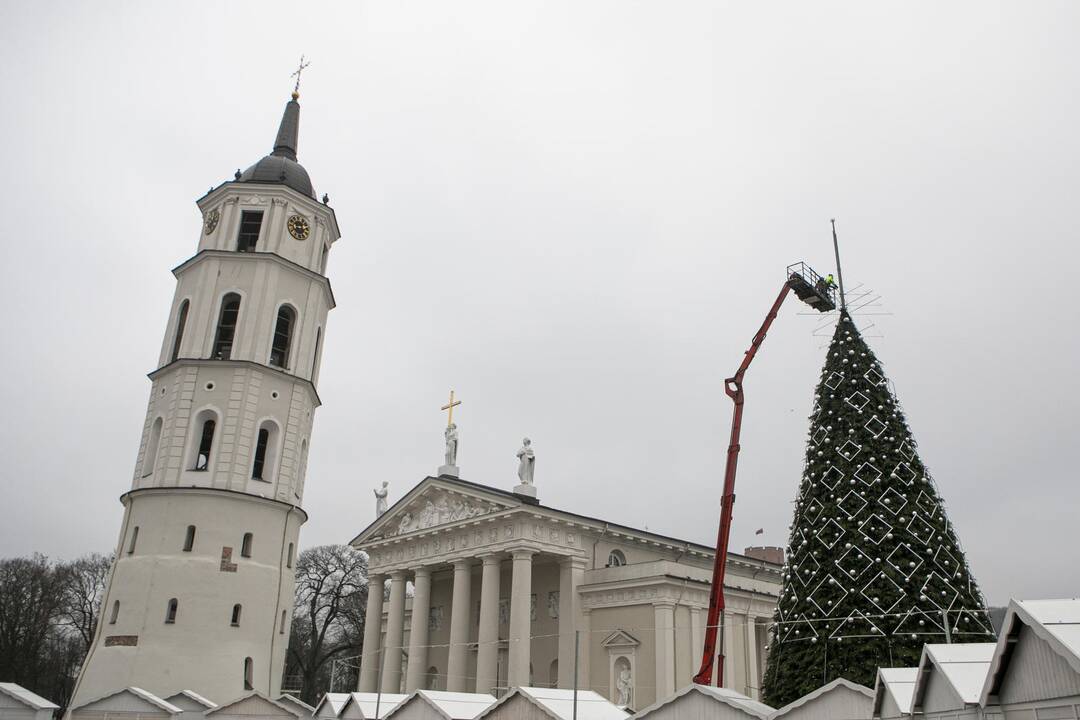 Ruošiama Vilniaus kalėdinė eglė