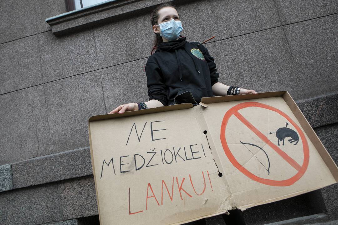 Aktyvistų protestas prieš medžioklę lankais