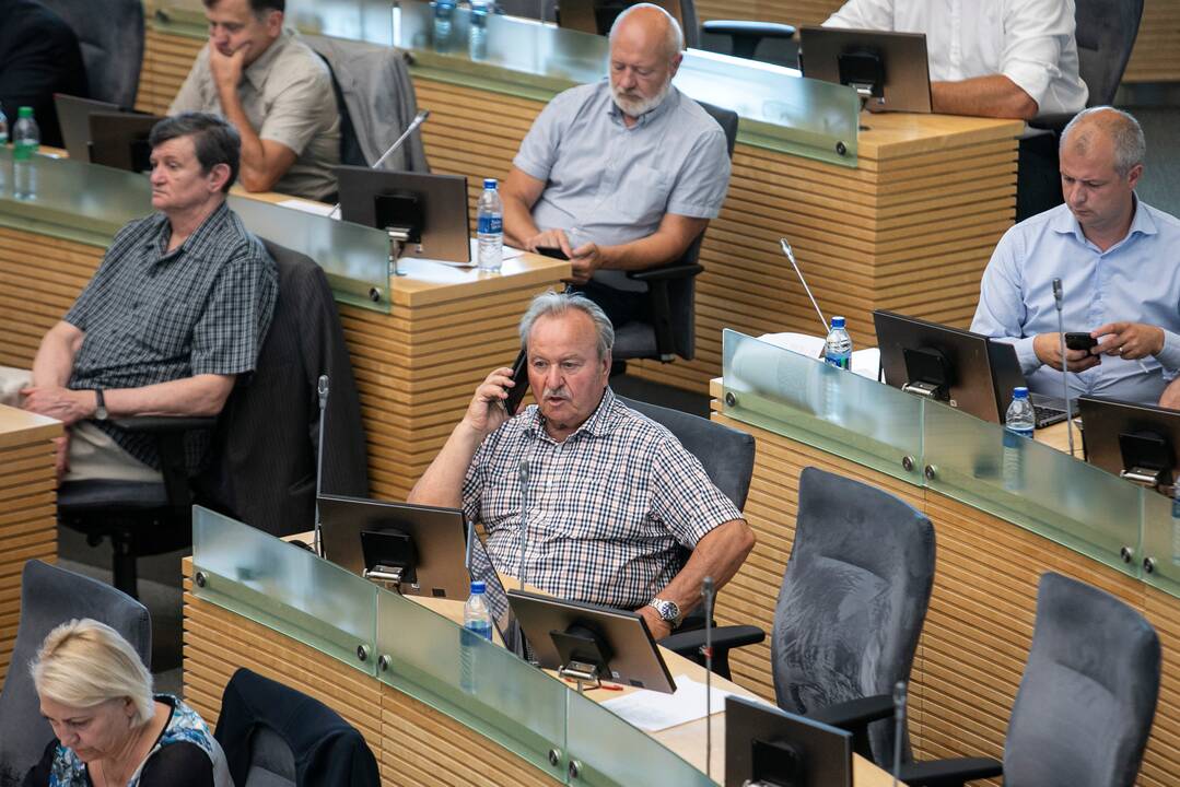 Seimo Ekonomikos komitetas nepritarė rudens sesijos darbų programai