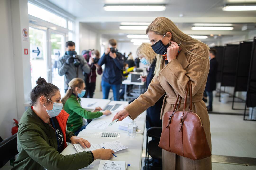 Išankstinis balsavimas: balsuoja partijų lyderiai