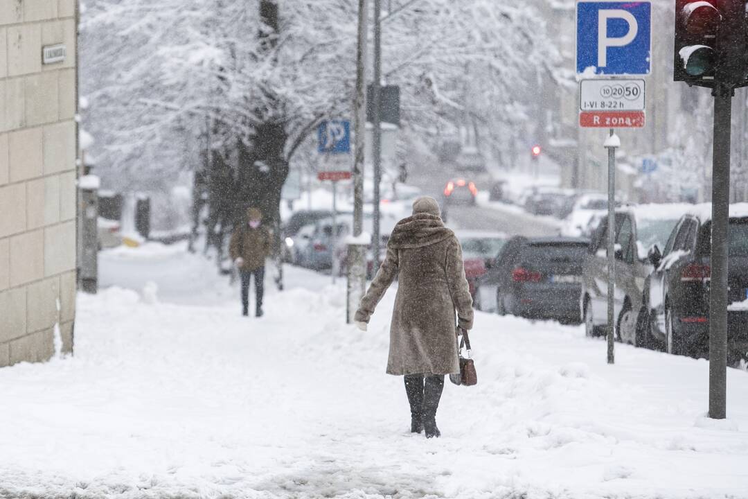 Gausus sniegas užklojo Vilnių