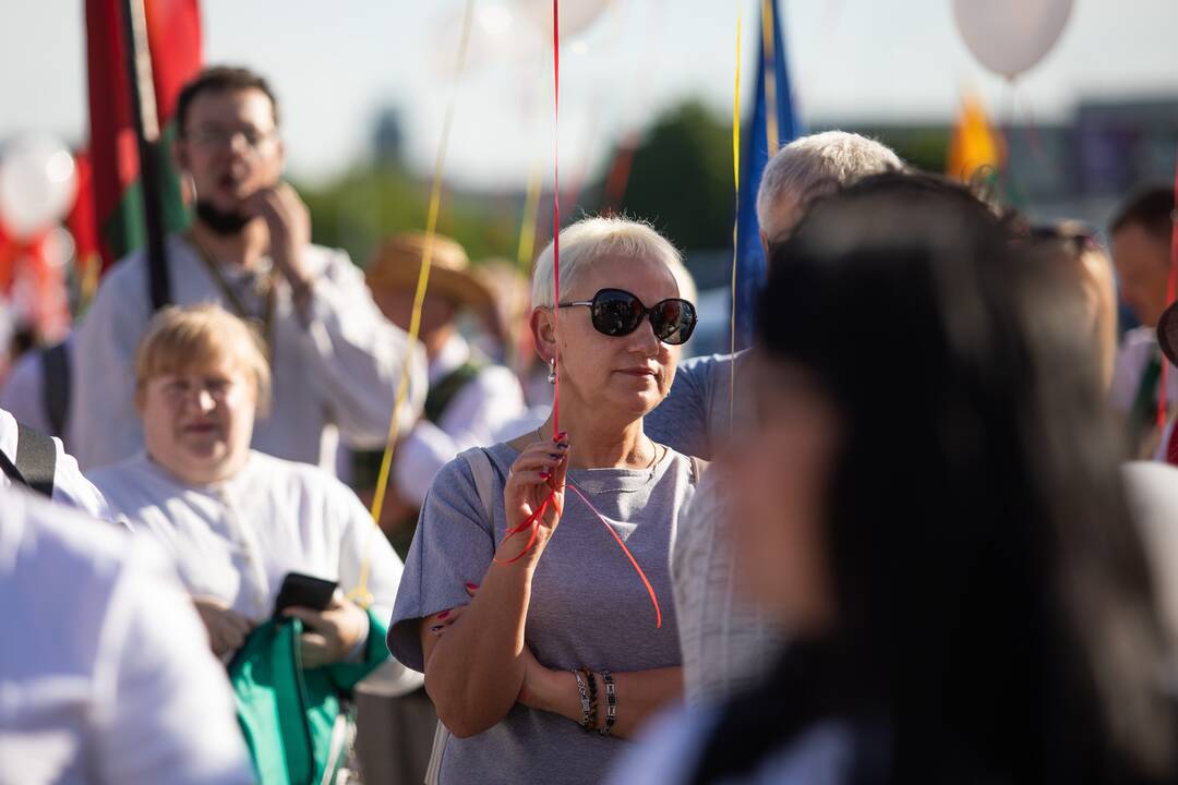 Šeimų maršo protestas prie Seimo