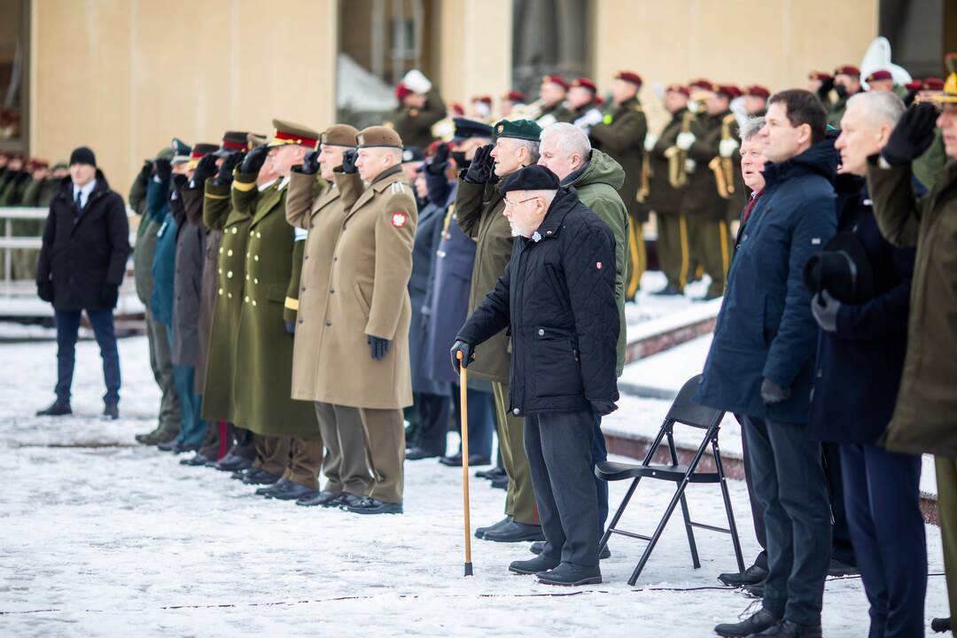 Savanorių pajėgų 31-osioms įkūrimo metinėms skirta rikiuotė