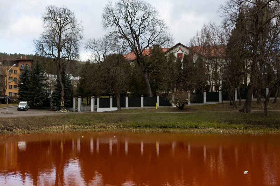 Prie Rusijos ambasados tvenkinys nudažytas raudona spalva