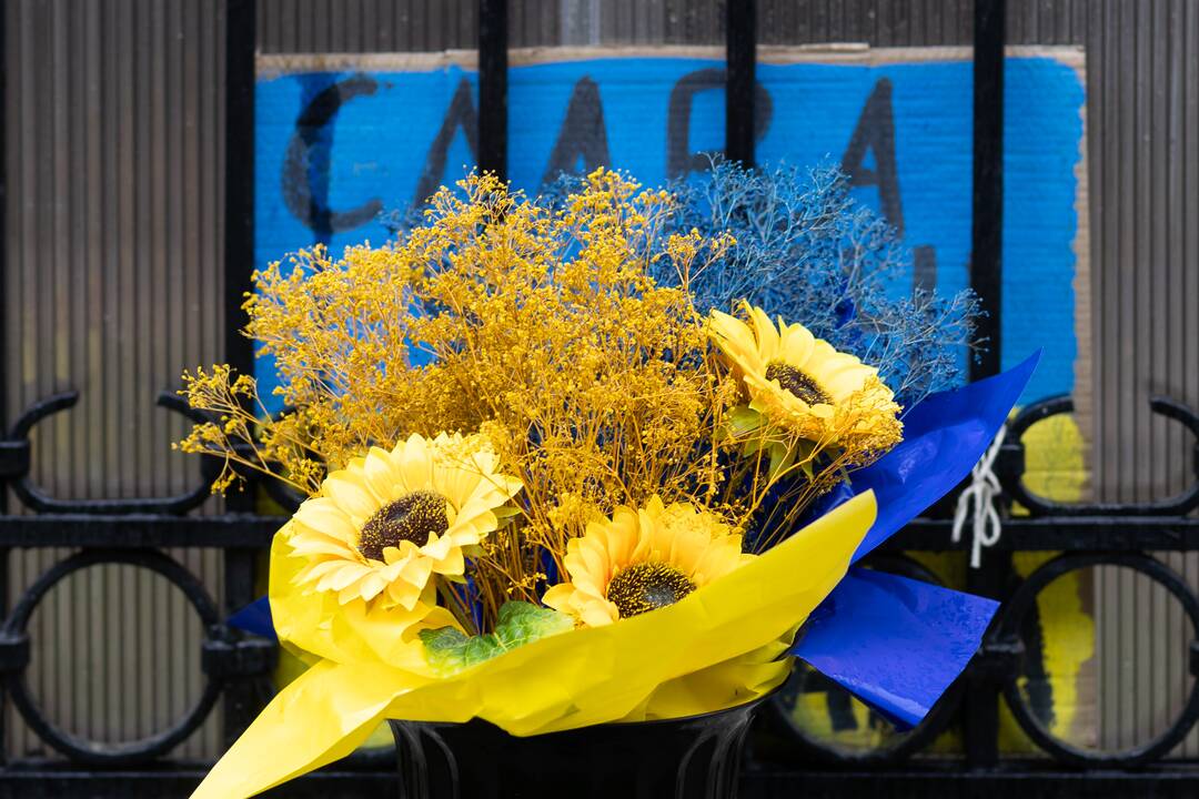 Apsikabinimų akcija prie Ukrainos ambasados