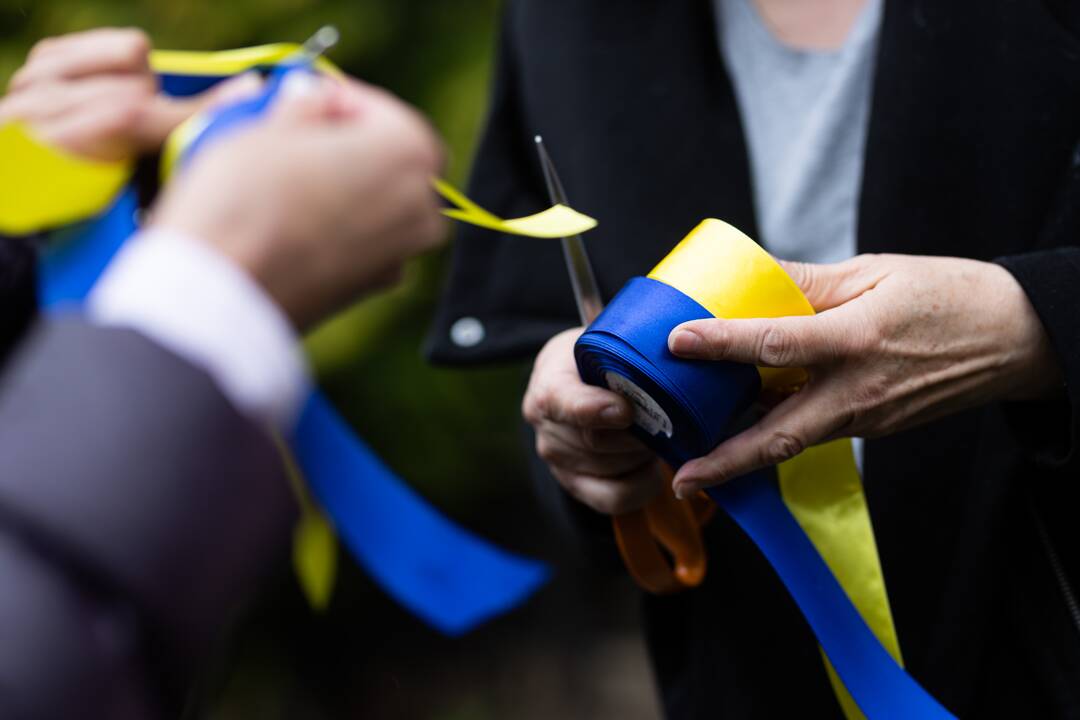 Apsikabinimų akcija prie Ukrainos ambasados