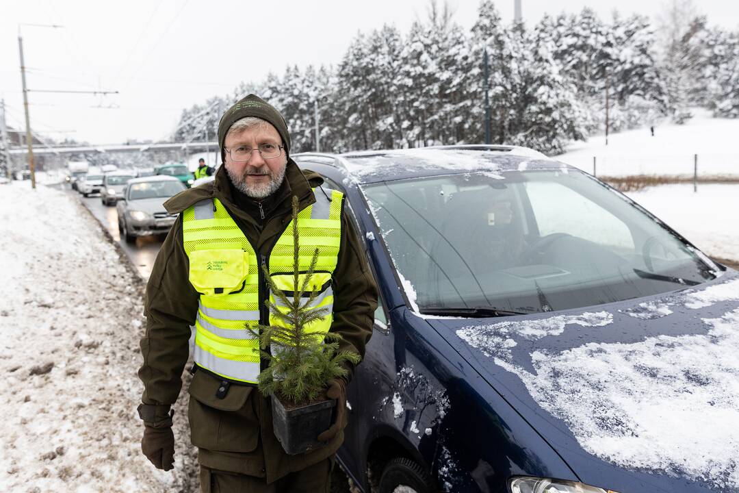 Policijos ir miškininkų akcija Vilniuje