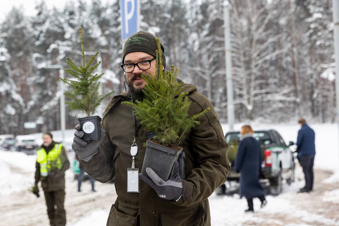 Policijos ir miškininkų akcija Vilniuje