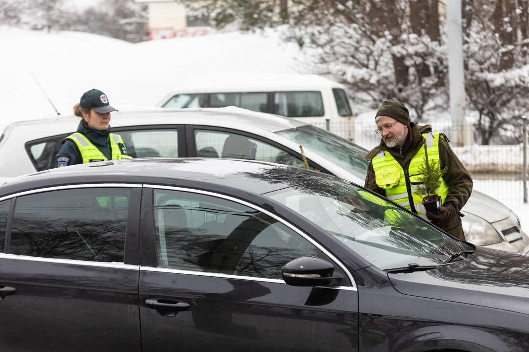 Policijos ir miškininkų akcija Vilniuje