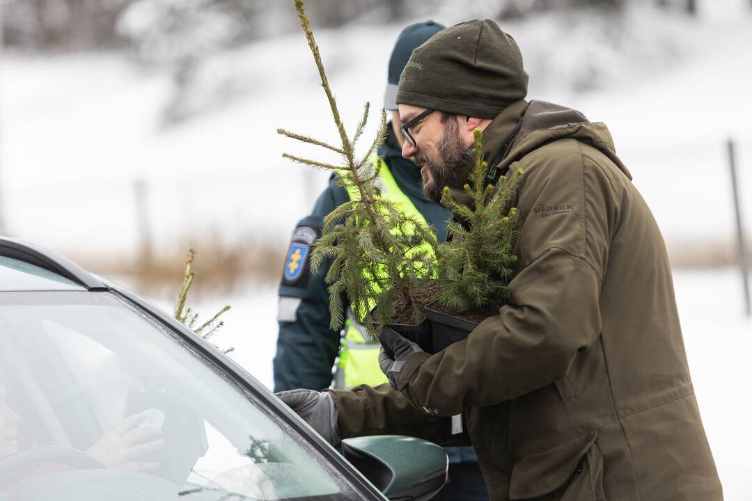 Policijos ir miškininkų akcija Vilniuje