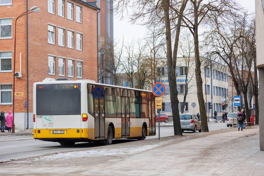 Šiauliai ruošiasi rinkimams