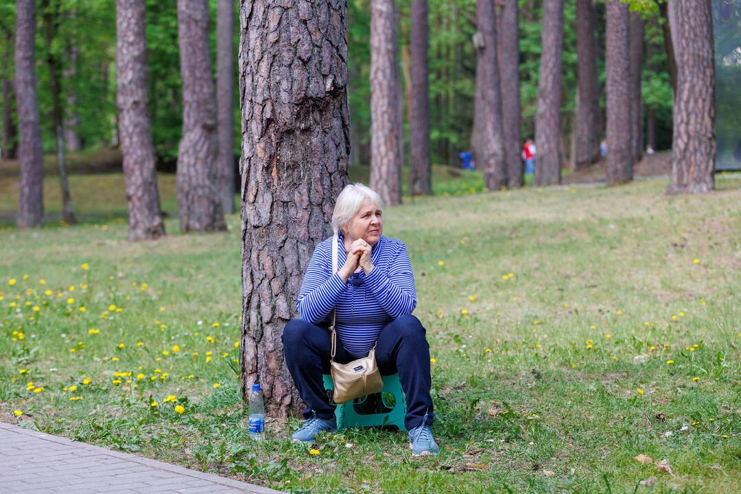 Didysis šeimos gynimo maršas Druskininkuose