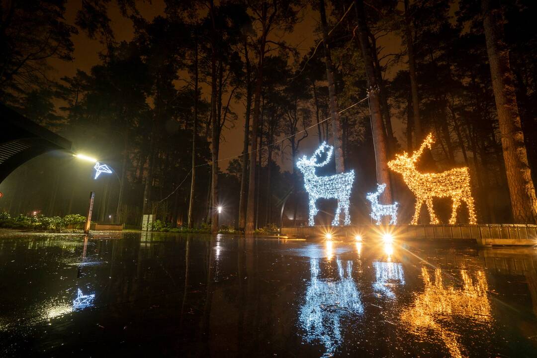 Šventiškai suspindo Druskininkai