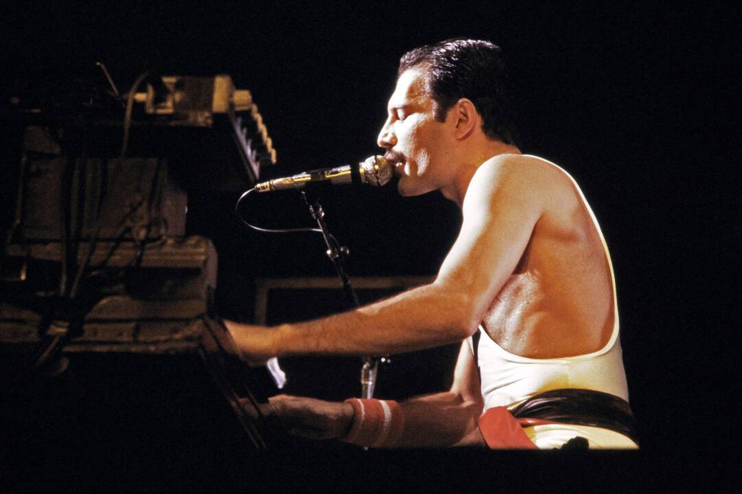 Freddie Mercury