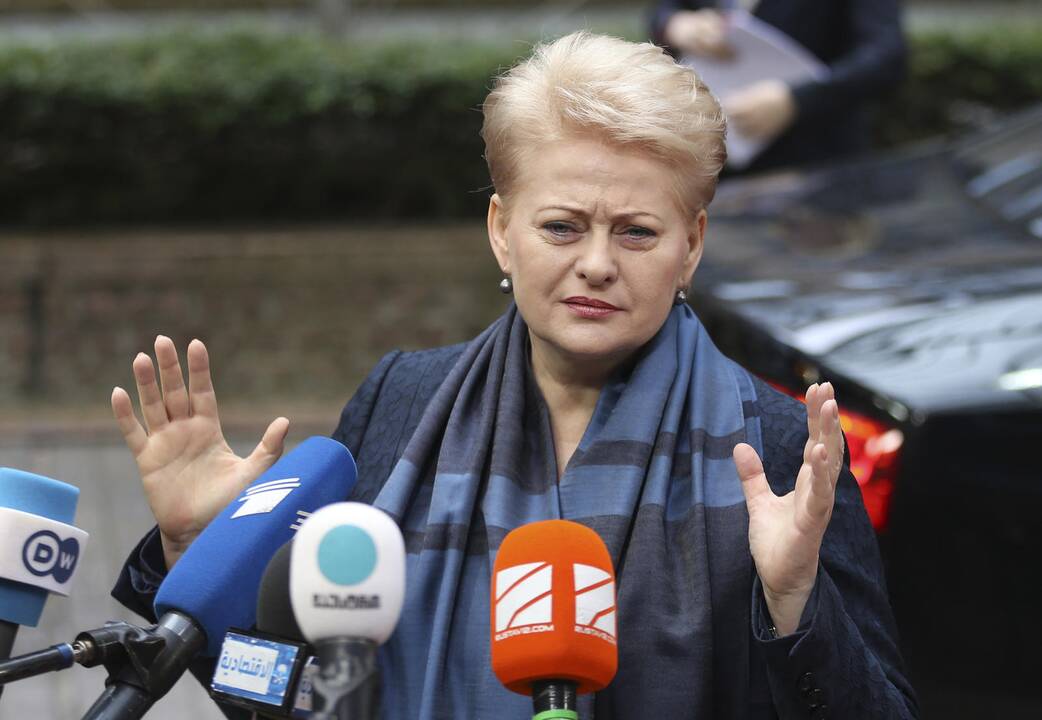 Sankcijų Rusijai pakanka, sako D. Grybauskaitė