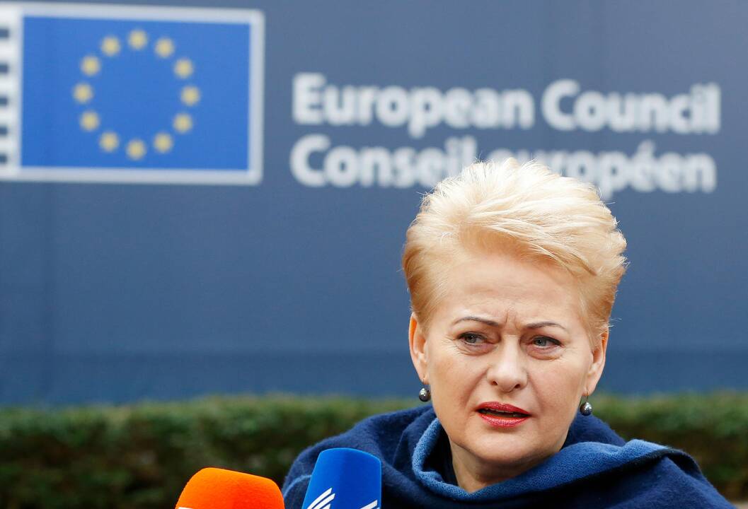 D. Grybauskaitė: britų pasiūlymai dėl migracijos netenkina daugumos šalių