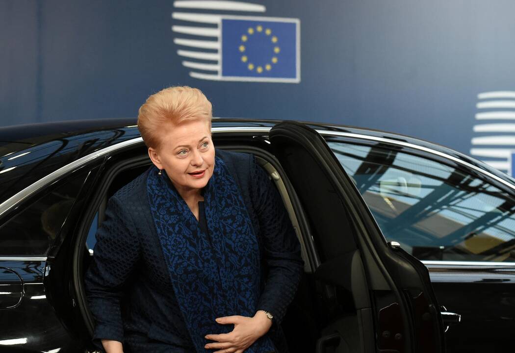 D. Grybauskaitė dalyvauja Trijų jūrų iniciatyvos viršūnių susitikime