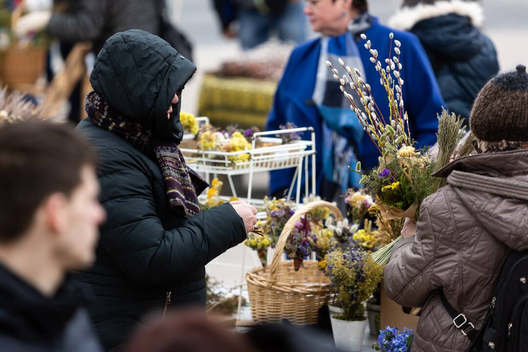 Verbų sekmadienis Vilniuje