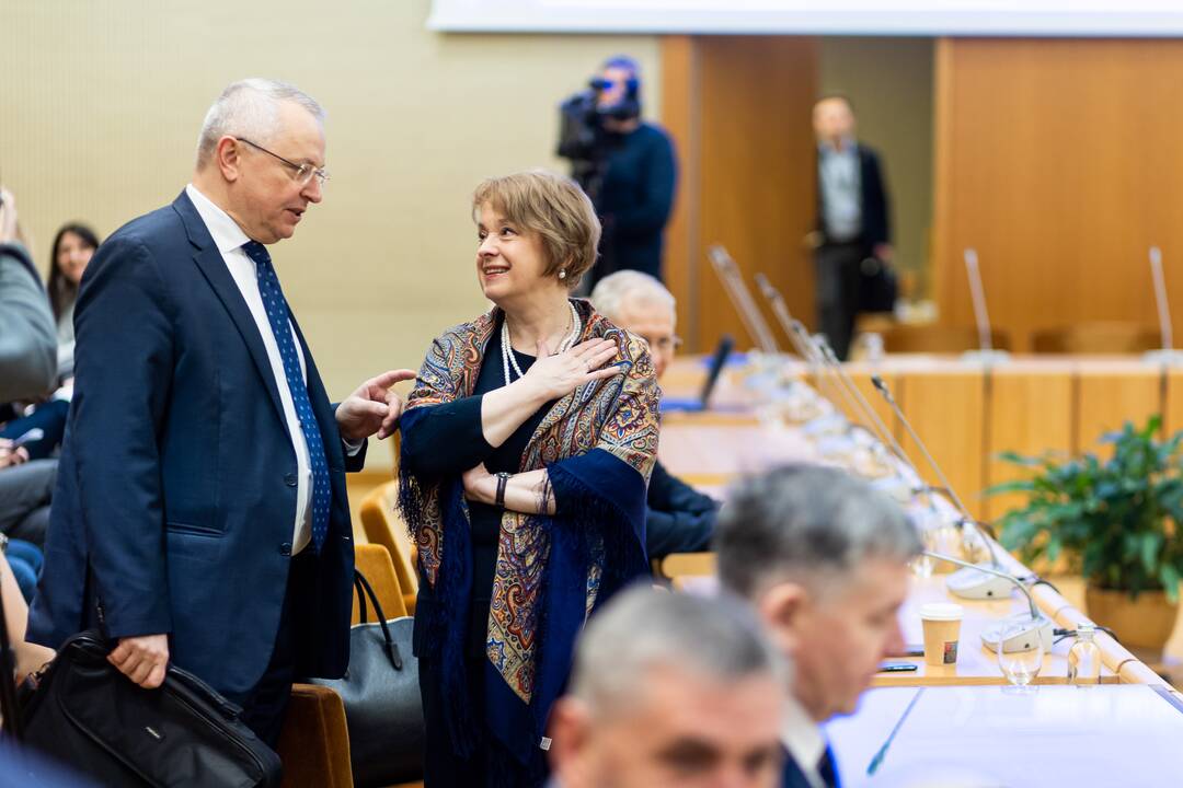 Konferencija dėl NATO viršūnių susitikimo Vilniuje