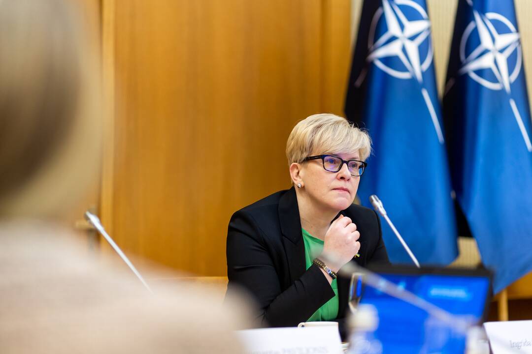 Konferencija dėl NATO viršūnių susitikimo Vilniuje