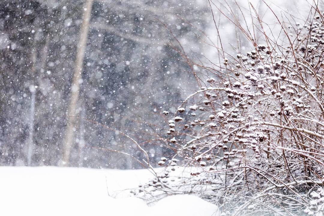 Lietuvoje eismo sąlygas sunkino gausūs krituliai