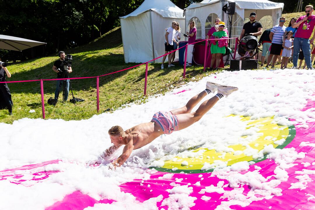 Šaltibarščių festivalis Vilniuje