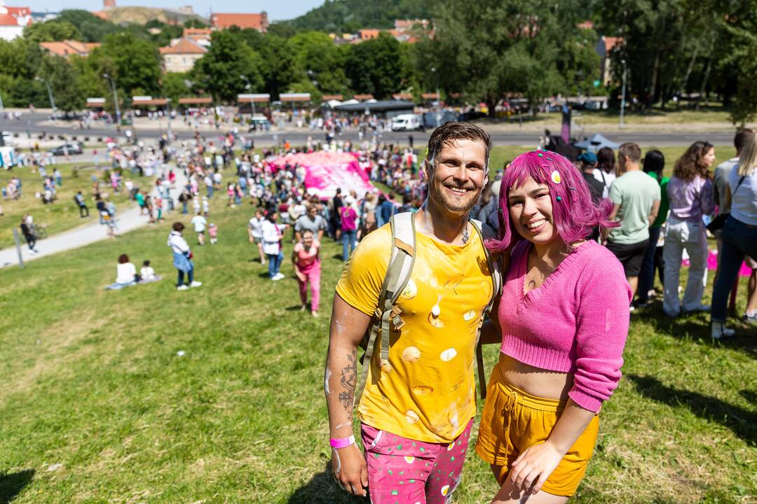 Šaltibarščių festivalis Vilniuje