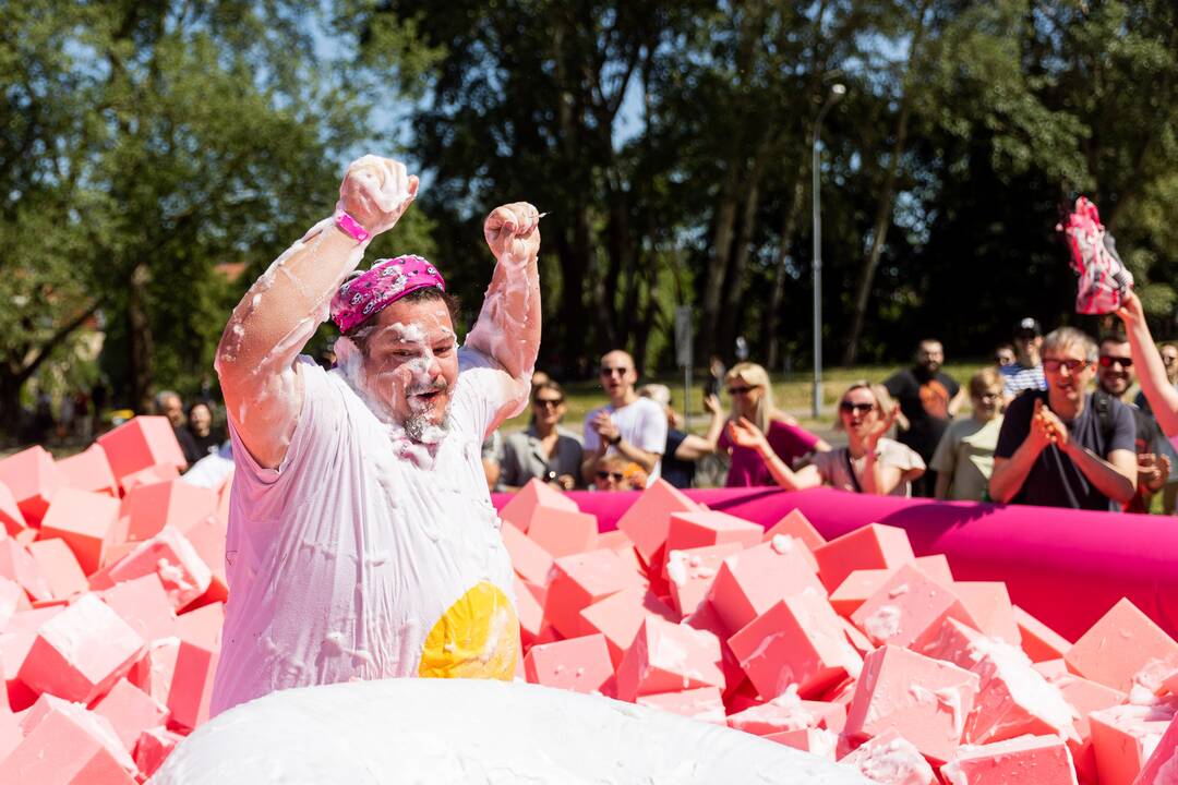 Šaltibarščių festivalis Vilniuje