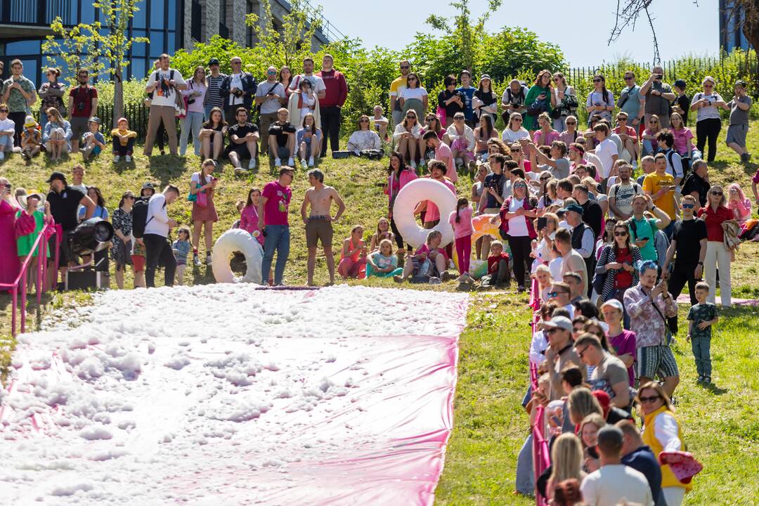 Šaltibarščių festivalis Vilniuje