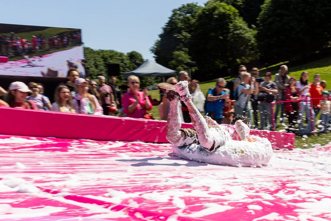 Šaltibarščių festivalis Vilniuje