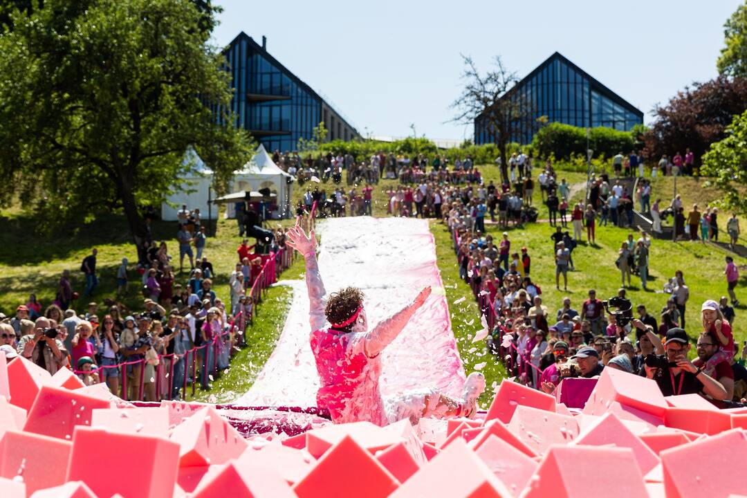 Šaltibarščių festivalis Vilniuje