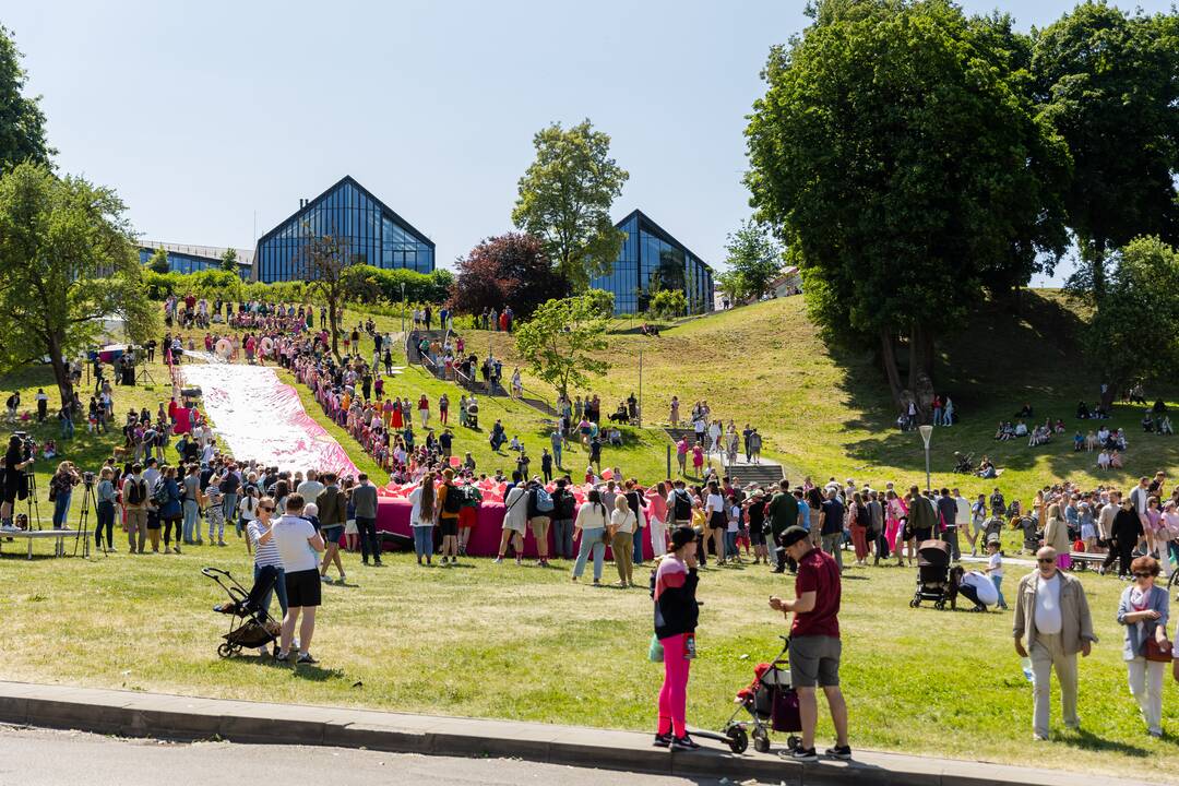 Šaltibarščių festivalis Vilniuje