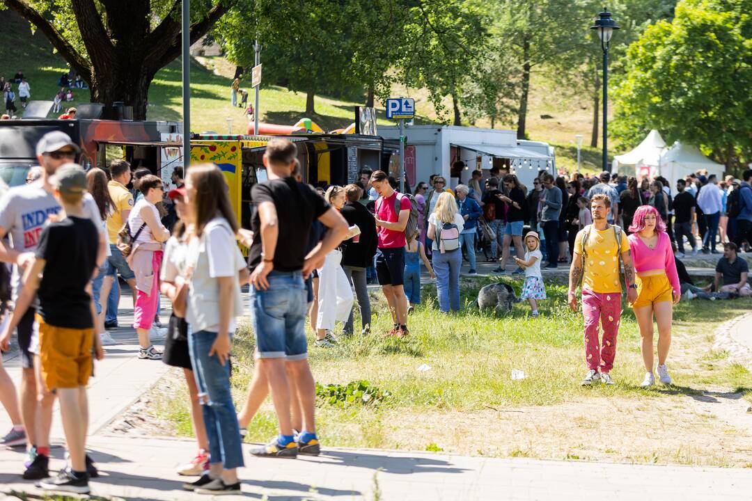 Šaltibarščių festivalis Vilniuje