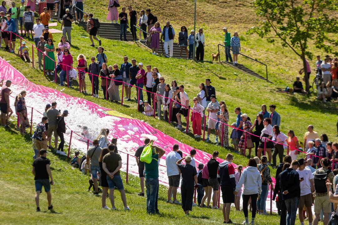 Šaltibarščių festivalis Vilniuje