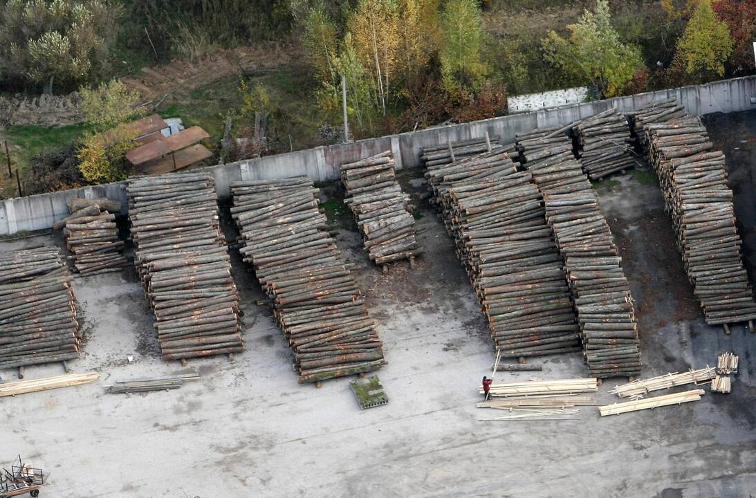 Draustiniuose ir rekreaciniuose miškuose draudžiami pagrindiniai kirtimai