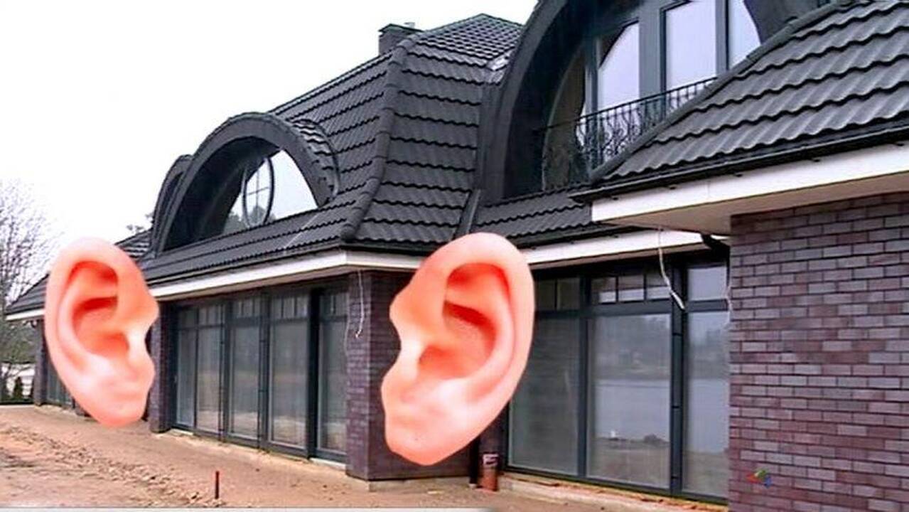 Kieno ausys kyšo iš Vijūnėlės dvaro?