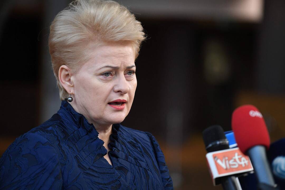 D. Grybauskaitė: Kremlius nesibodi peržengti jokių ribų