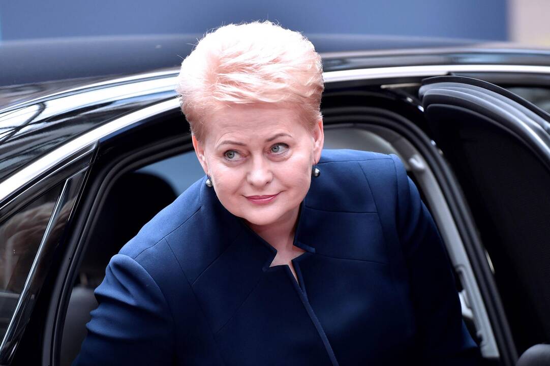 D. Grybauskaitė išvyksta į Pasaulio ekonomikos forumą Davose