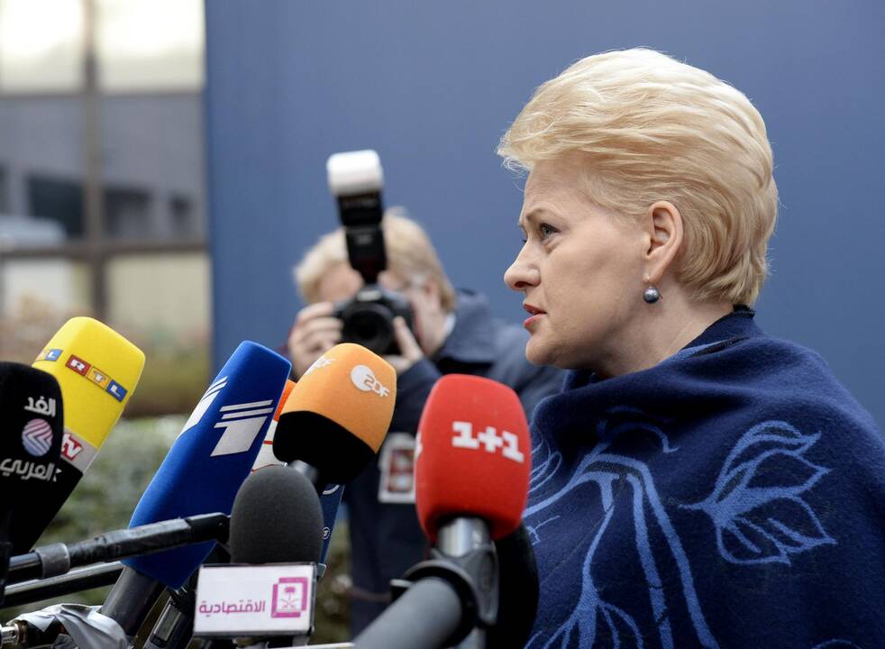 D. Grybauskaitė: Minske neišspręstas svarbiausias klausimas dėl sienų