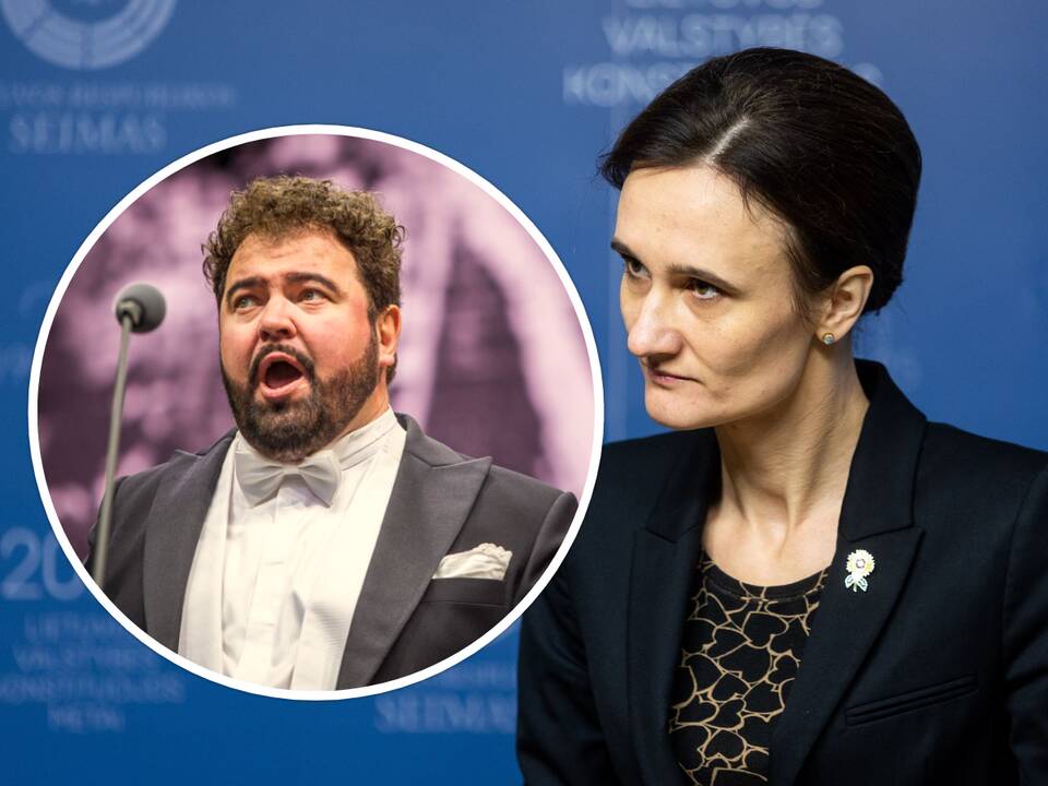 Seimo pirmininkė: V. Vyšniausko pasirodymą Baltarusijoje sunku pavadinti klaida