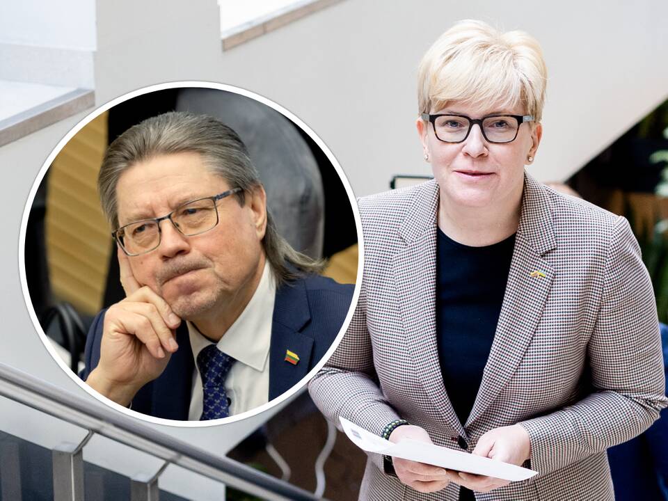 I. Šimonytė apie S. Šedbaro paskyrimą į KT: nėra prasmės taikyti atšalimo